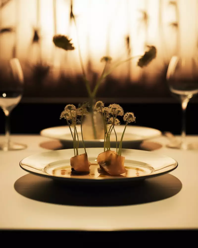 TAKE AWAY Ella Aflalo x Take Away