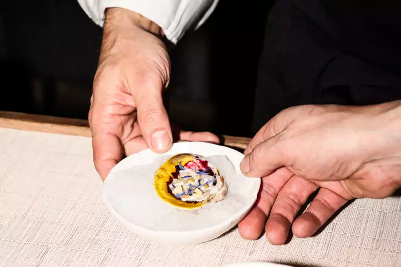 TAKE AWAY Ella Aflalo x Take Away