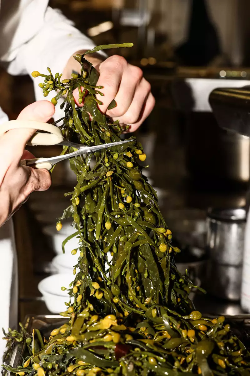 TAKE AWAY Ella Aflalo x Take Away