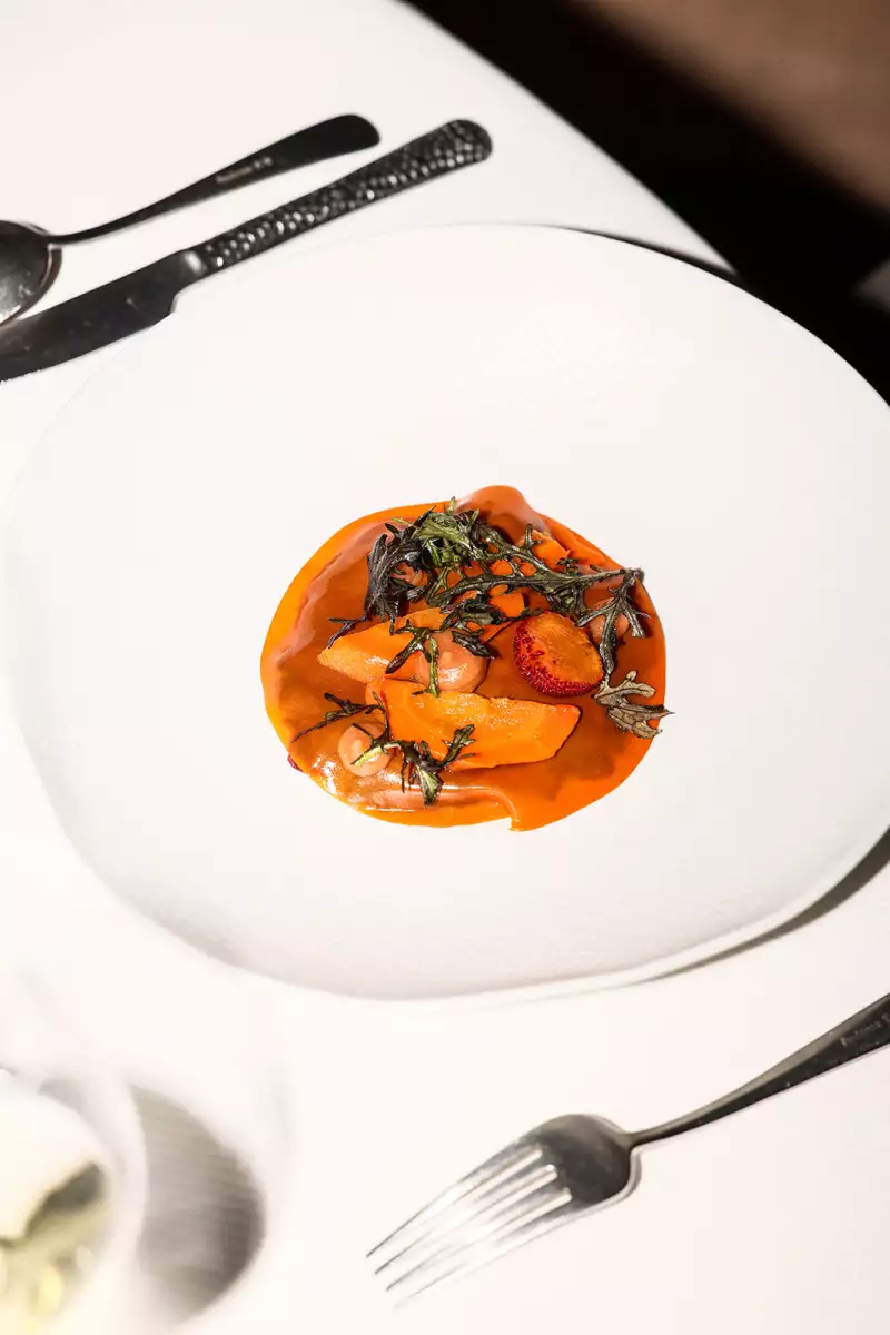 TAKE AWAY Ella Aflalo x Take Away