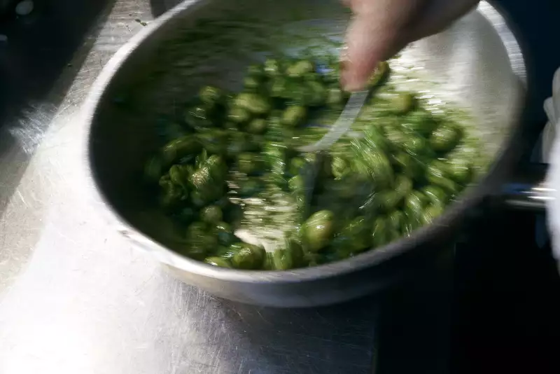 TAKE AWAY Ella Aflalo x Take Away