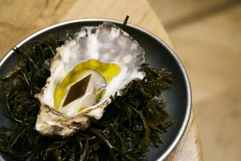 TAKE AWAY Zimmermann