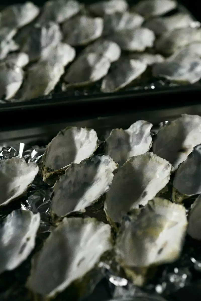 TAKE AWAY Zimmermann