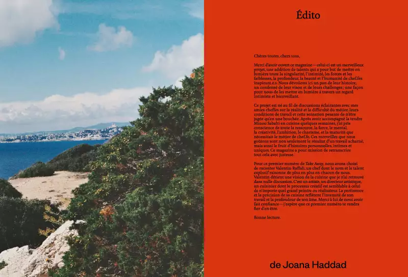 TAKE AWAY Ella Aflalo x Take Away