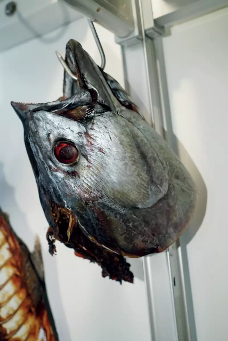 TAKE AWAY Zimmermann