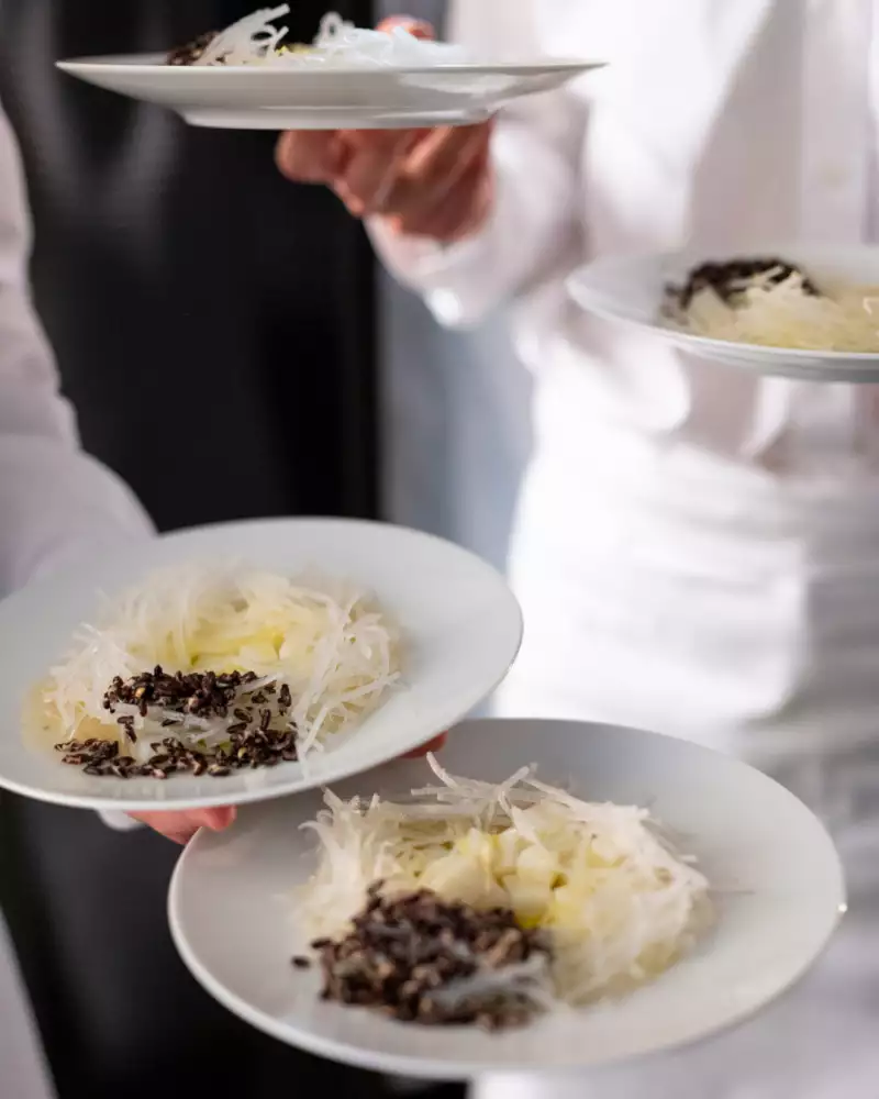 TAKE AWAY Zimmermann