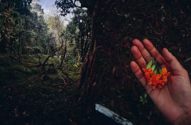 TAKE AWAY Ella Aflalo x Take Away